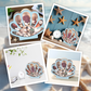 📢📢50% OFF !! ⏰Seashell Display Case with Acrylic Panel
