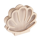 📢📢50% OFF !! ⏰Seashell Display Case with Acrylic Panel