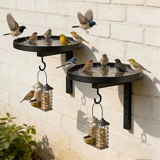 📢📢50% OFF !! ⏰Wall-Mounted Metal Bird Bath Basin
