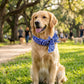 📢📢50% OFF !! ⏰Summer Pet Cooling Collar Wrap
