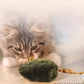 📢📢50% OFF !! ⏰Plush Simulation Mouse Toy with Sound for Cats