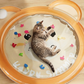 📢📢50% OFF !! ⏰Non-Slip Cooling Splash Pet Mat