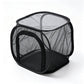 📢📢50% OFF !! ⏰Collapsible Insect Mesh Cage