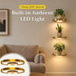 📢📢40% OFF !! ⏰Floating Wall Shelf with Built-in Ambient LED Light