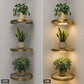 📢📢40% OFF !! ⏰Floating Wall Shelf with Built-in Ambient LED Light