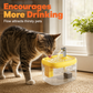 📢📢50% OFF !! ⏰Silent Pet Drinking Dispenser with Food-Grade PET Bowl