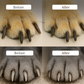 📢📢50% OFF !! ⏰Pet Nail Clippers with LED Light