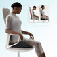 📢📢50% OFF !! ⏰Ergonomic Seat Cushion With Lumbar Support
