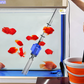 📢📢50% OFF !! ⏰Electric Suction Aquarium Water Changer Filter Cleaner