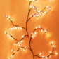 📢📢50% OFF !! ⏰Floral Vine Ambiance Lights