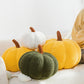 📢📢50% OFF !! ⏰Cute Soft Pumpkin Throw Pillow