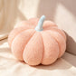 📢📢50% OFF !! ⏰Cute Soft Pumpkin Throw Pillow