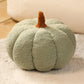 📢📢50% OFF !! ⏰Cute Soft Pumpkin Throw Pillow