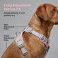 No-Pull Dog Harness