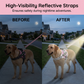 No-Pull Dog Harness
