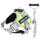 No-Pull Dog Harness