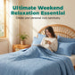 Solid Color Comfortable Bedding 4-Piece Set