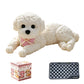 📢📢50% OFF !! ⏰Cute Squishy Teddy Dog Stress Relief Toy