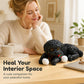 📢📢50% OFF !! ⏰Cute Squishy Teddy Dog Stress Relief Toy