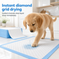 📢📢50% OFF !! ⏰Leakproof Deodorizing and Breathable Thin Pet Pee Pads for Dogs
