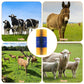 📢📢40% OFF !! ⏰Livestock Full Massage Grooming Scratching Brush