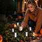 📢📢50% OFF !! ⏰Solar Powered Pathway Stake Light
