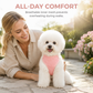 📢📢50% OFF !! ⏰Vest Style Dog Harness and Leash Set for Small and Medium Dogs