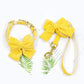 📢📢50% OFF !! ⏰Vest Style Dog Harness and Leash Set for Small and Medium Dogs