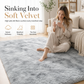 🧸 Soft Fluffy Velvet Rug: Dense Plush, Non-Shed, Cloud Comfort, for Living Room & Bedroom